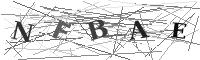 Please refresh your browser to see this image.