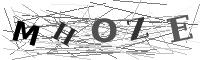 Please refresh your browser to see this image.